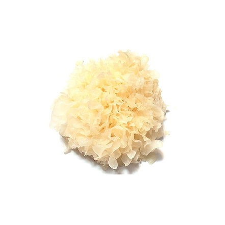 Wood Ear Mushroom (White, dried)